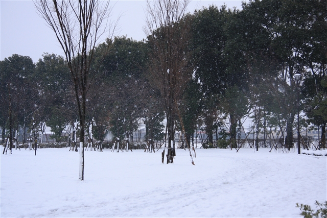 公園9