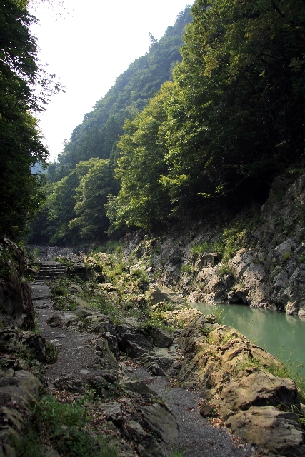 鳩の巣1