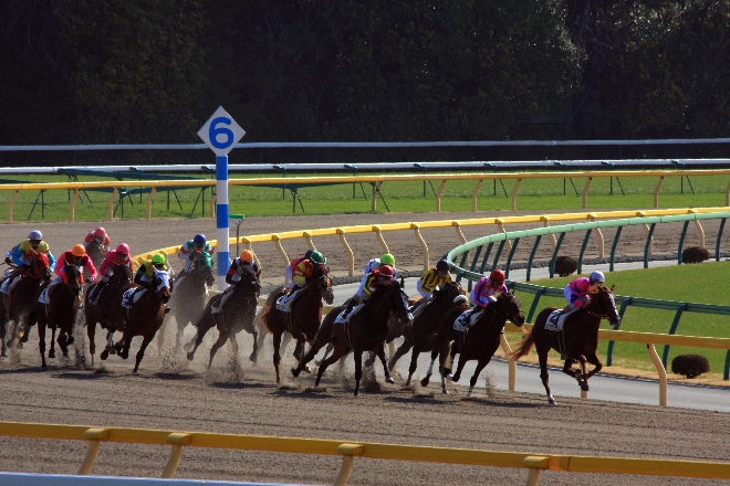 競馬2