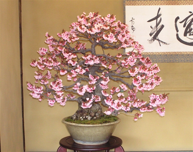 公園5