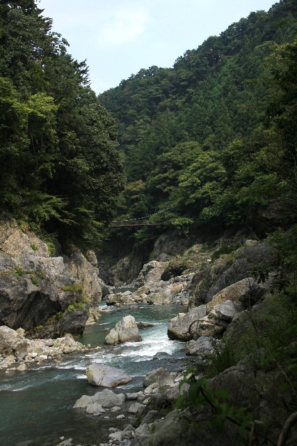鳩の巣2