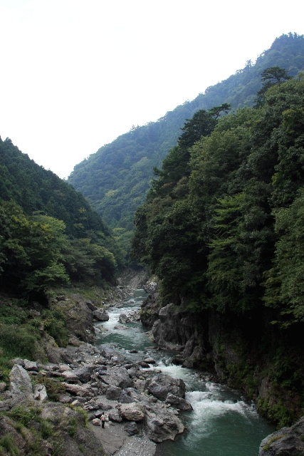 鳩の巣4