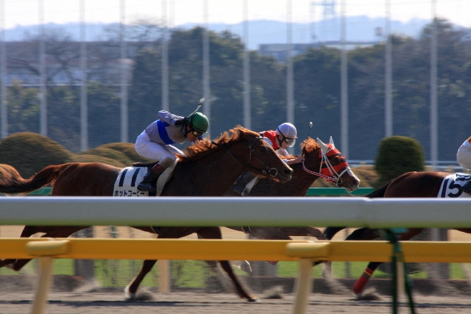 競馬6