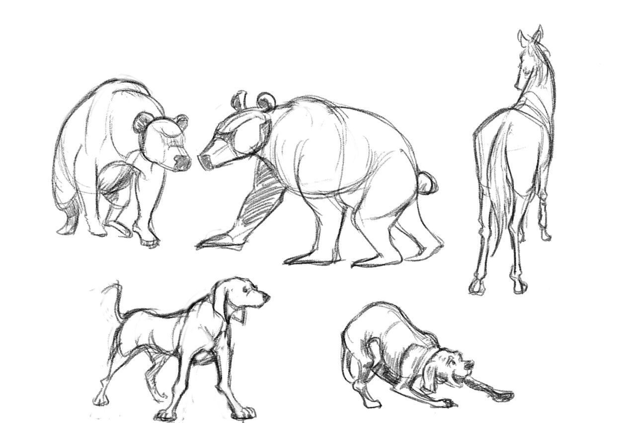 動物絵の練習をした 明日も動物を描こう アトリエ Tatsu