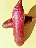 original_c2c6eeab-07e0-47fd-8acf-cf5d382ba798_DSC_0006