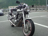 2338d3a6.jpg