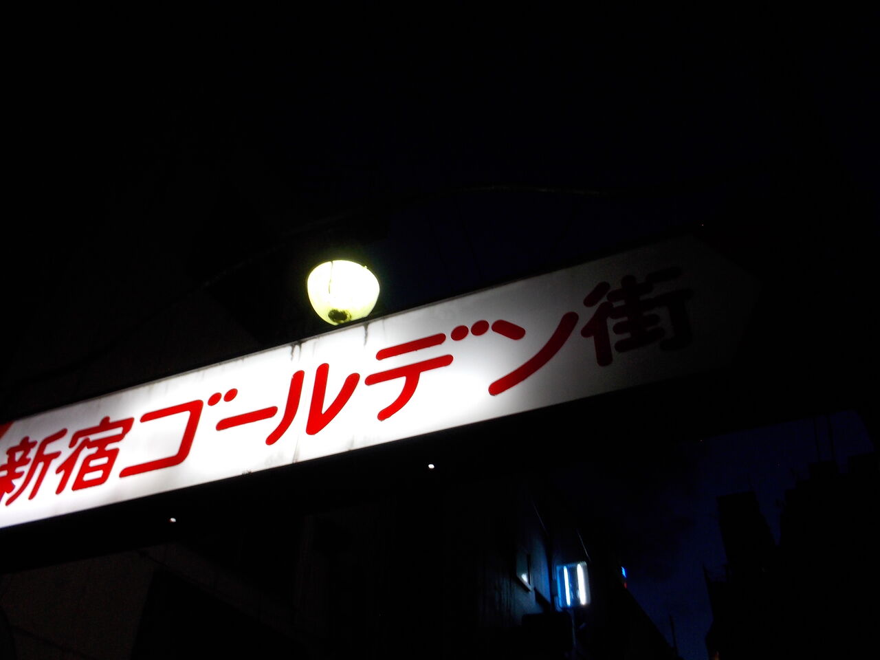 DSCN8997