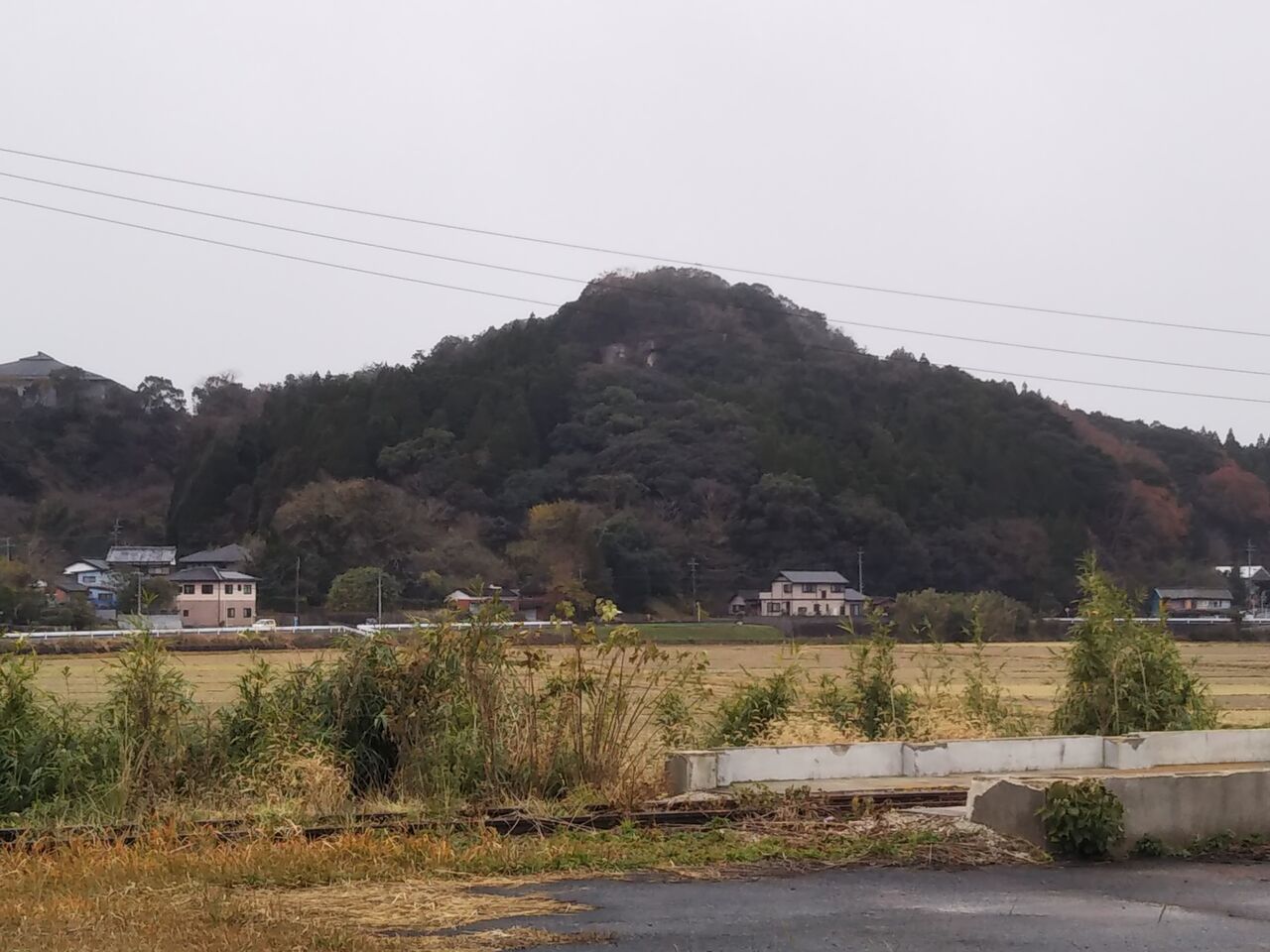 DSC_0621
