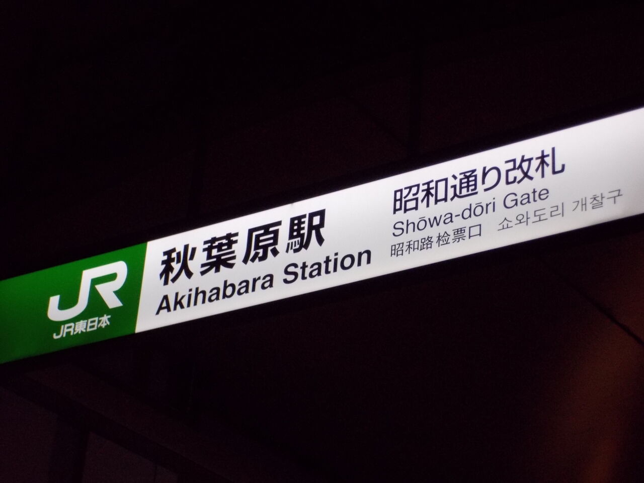 1 17 秋葉原秋田犬 こーご 405 Presents アダムとイブとロキソニン劇場 零 静と動と熱量 編 赤塚テレビブロス