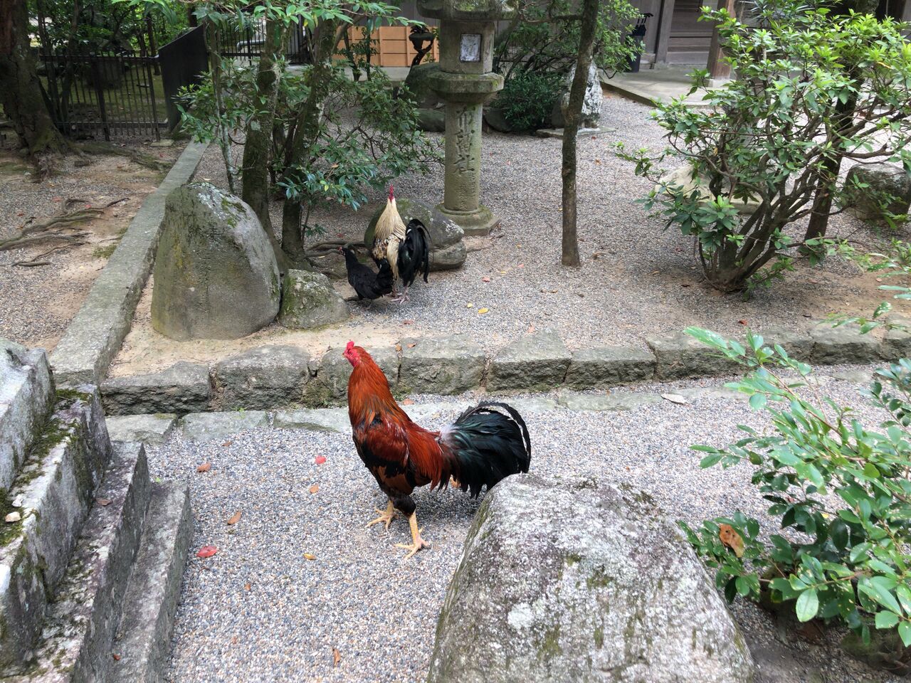 380 石上神宮 奈良県天理市 神社と寺と交通安全ステッカー 380 石上神宮 奈良県天理市 神社と寺と交通安全ステッカー