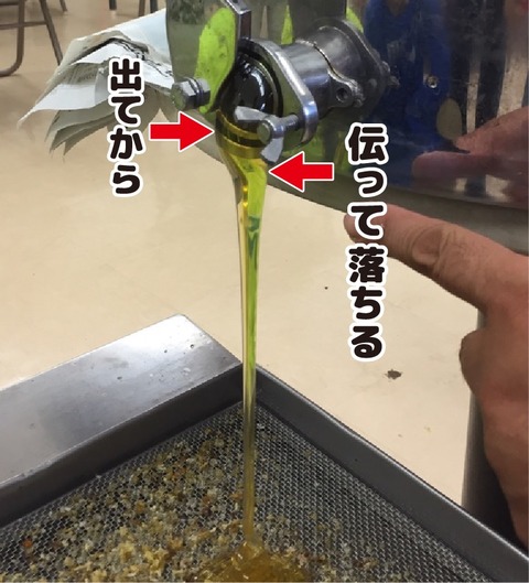 20170720養蜂体験その２4