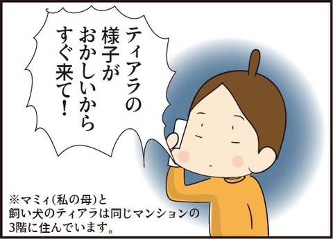 20181125てんかん1