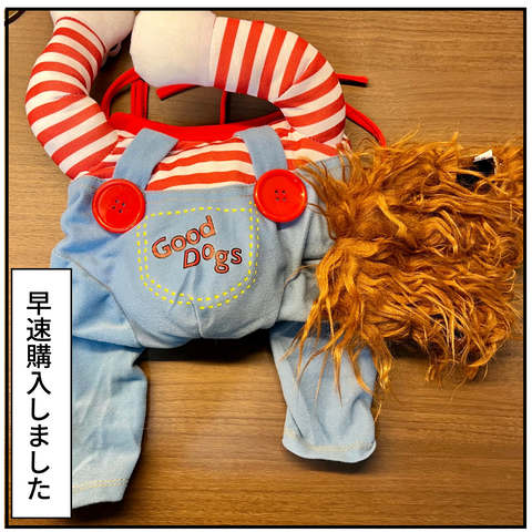 20240513チャッキー_4