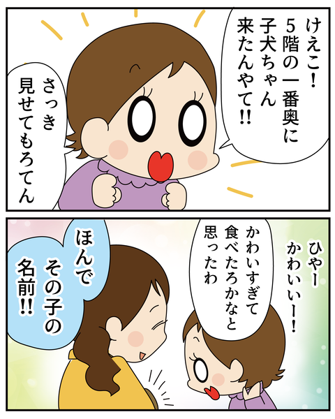20270301犬来た_5