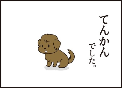 20181125てんかん4