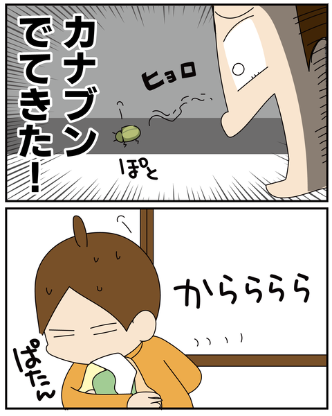20270529ベランダ_8