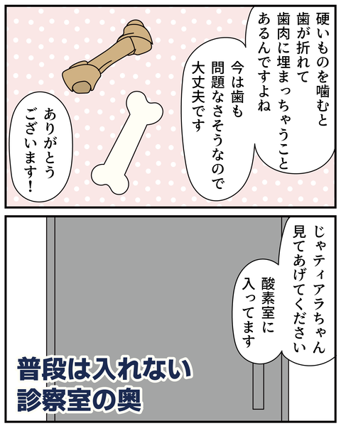 20270526ティアラ5_5