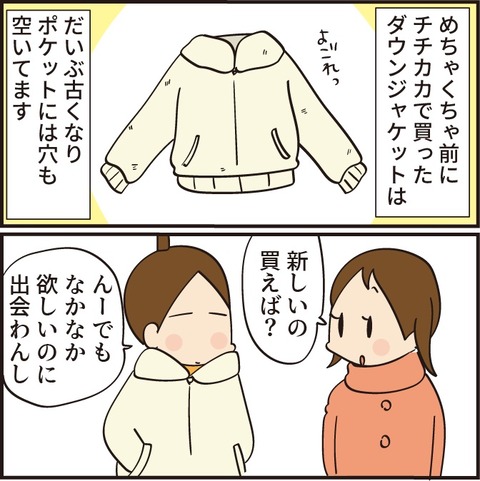 欲しくて欲しくて4回通ったセール品の末路