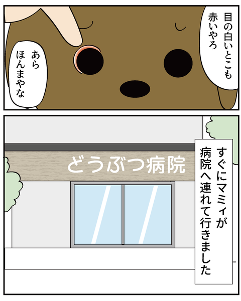 202506315ティアラ1_6
