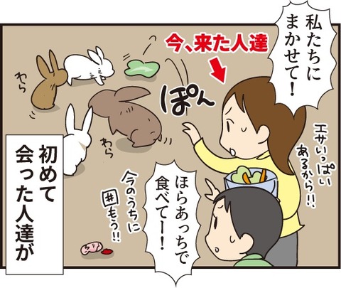 20190310うさぎの赤ちゃん5