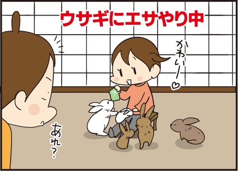 20190310うさぎの赤ちゃん1