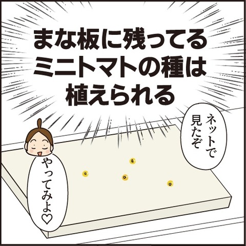 202008028トマトを育てよう2