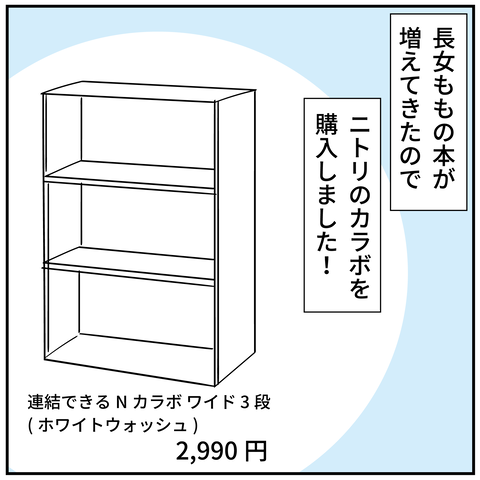 20241115ニトリの棚_2