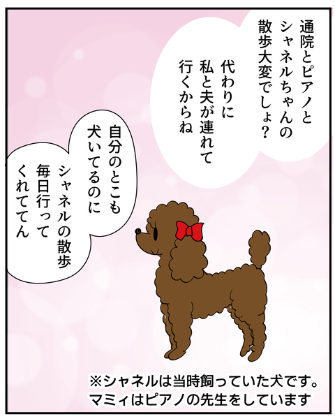 20270509シャネルの散歩_5