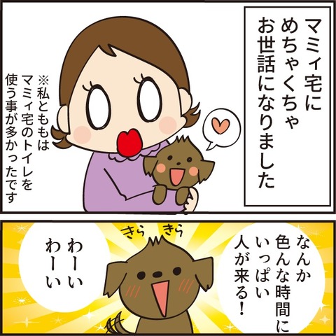 20220905トイレ4_5