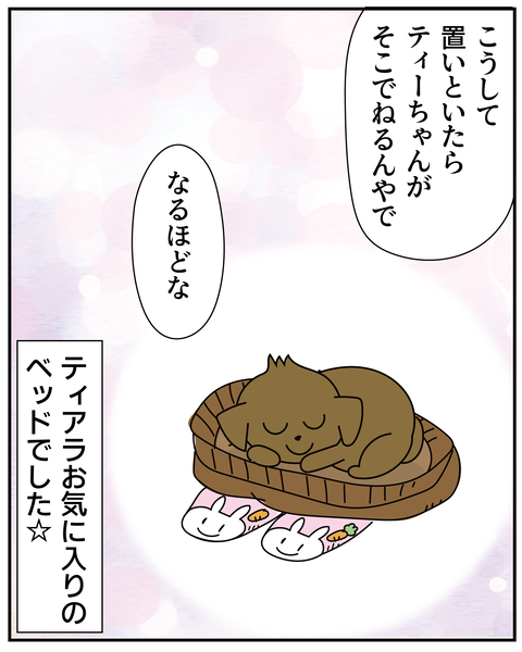 20270218脱いだあと_7