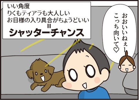 20181115シャッターチャンス1