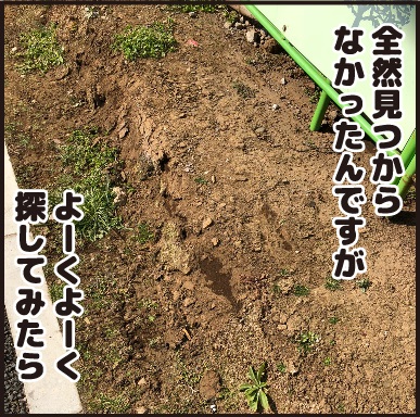 20180312宝物を掘り起こせ5