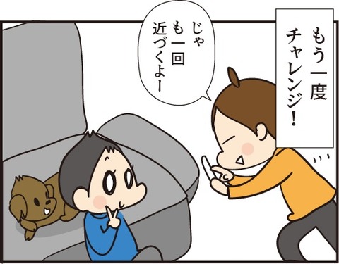 20181115シャッターチャンス5