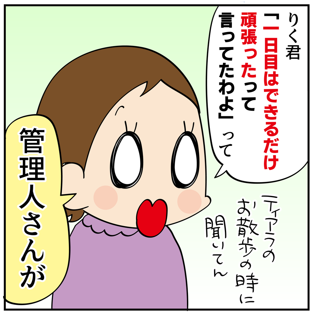 ほわわん家の入試②どうしても勝てない : ほわわん子育て絵日記