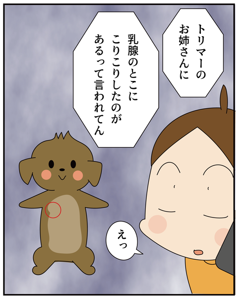 20270526ティアラ1_5