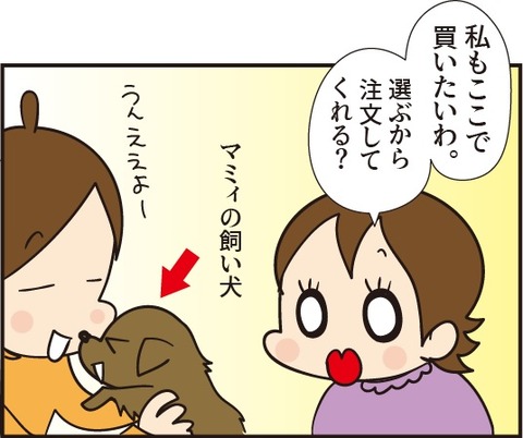 20181109さんまのブローチ
