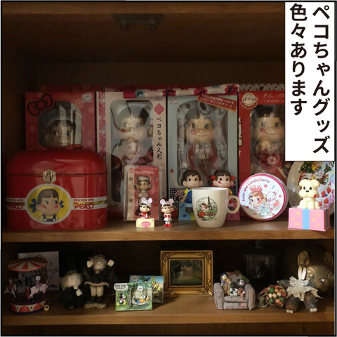 20200517憧れの部屋8