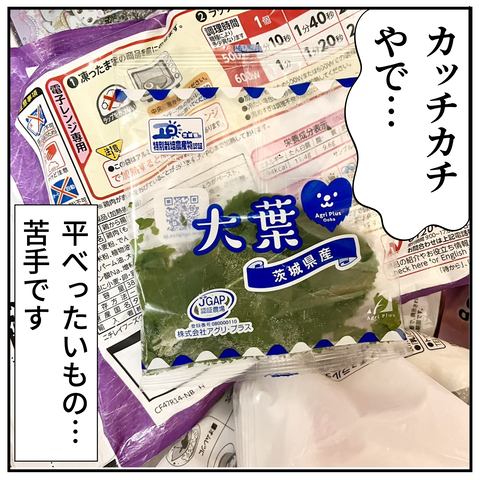 20240819ハム_9