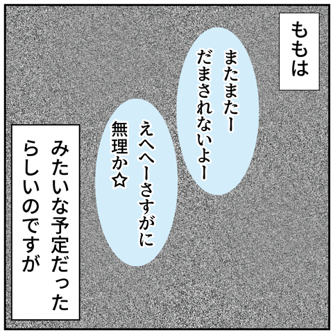 20240601ランチョンマット_6