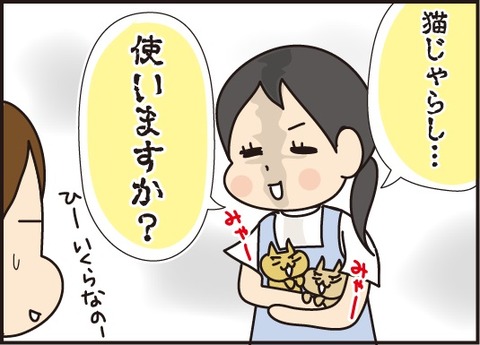 猫カフェ訂正