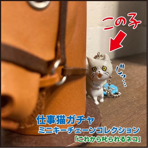 120210526めっちゃ観てる8