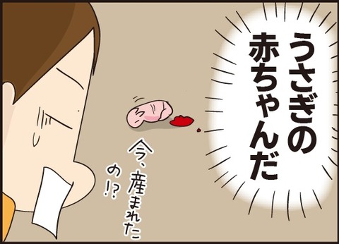 20190310うさぎの赤ちゃん3
