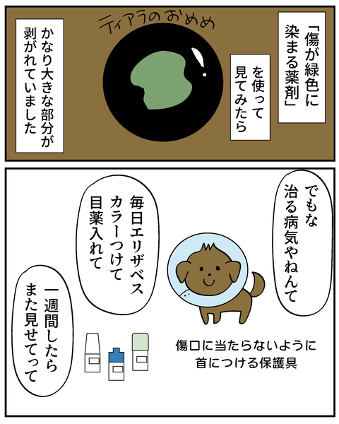 202506315ティアラ2_3