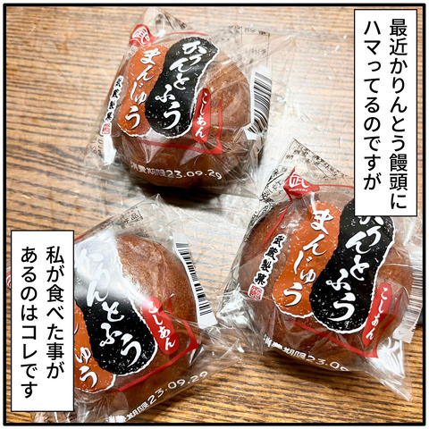 20230912かりんとう饅頭_1