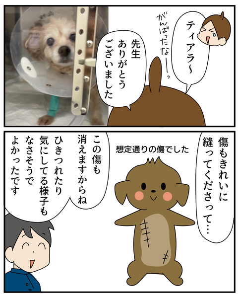 20270526ティアラ5_6