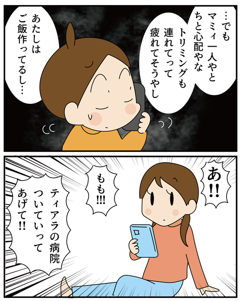 20270526ティアラ1_7