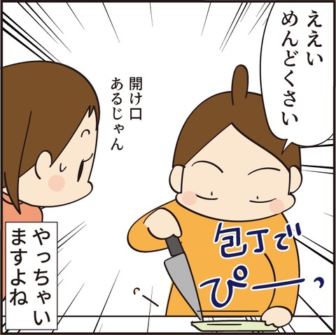 20230208包丁で切る4
