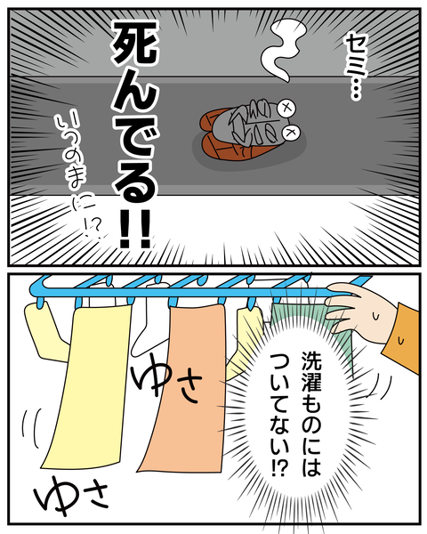 20270529ベランダ_7