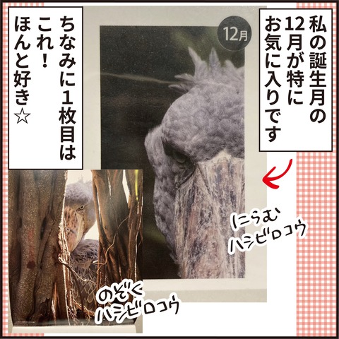20211226誕生日プレゼント17