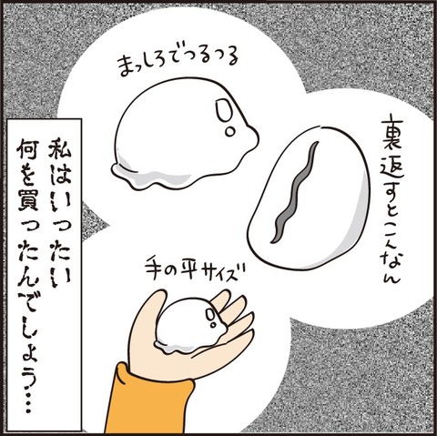 20220727修学旅行6